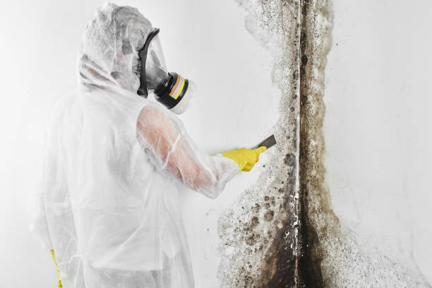 Water Damage Restoration in Fort Valley, GA
