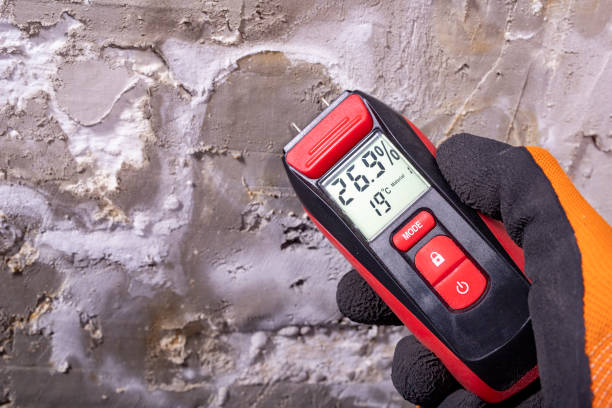 Best Commercial Mold Removal  in Fort Valley, GA