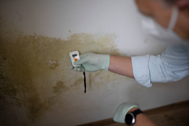 Best Residential Mold Removal  in Fort Valley, GA
