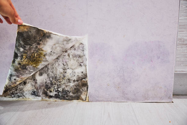 Water Damage Restoration in Fort Valley, GA